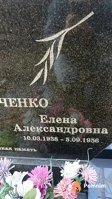 Кравченко Елена Александровна