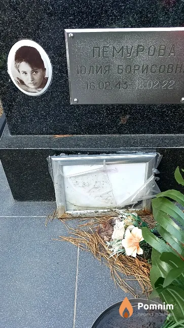 Пемурова Юлия Борисовна