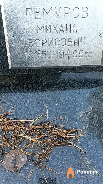 Пемуров Михаил Борисович