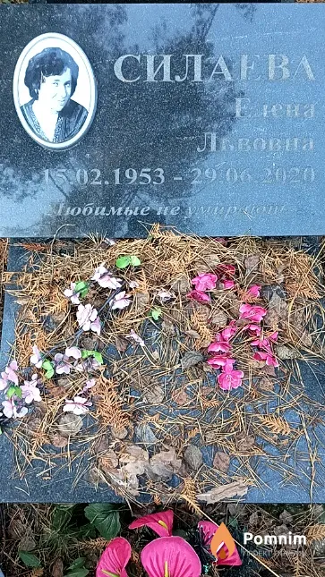 Силаева Елена Львовна