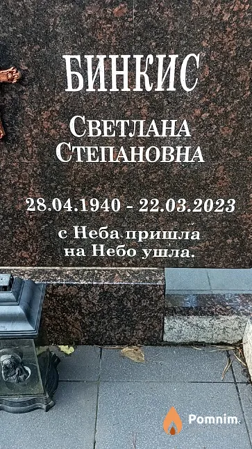 Бинкис Светлана Степановна