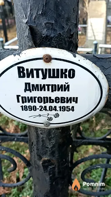 Витушко Дмитрий Григорьевич