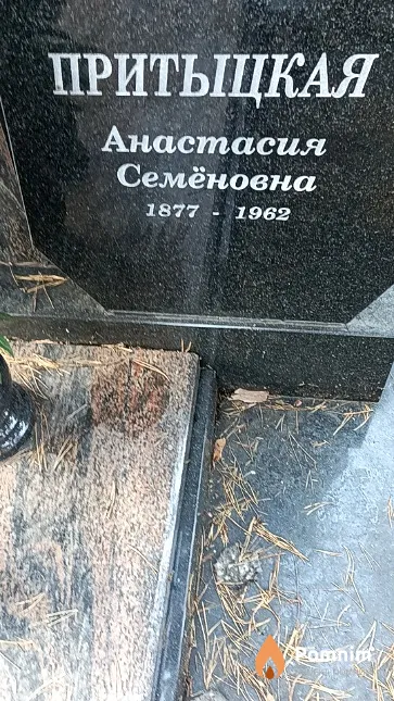 Притыцкая Анастасия Семёновна