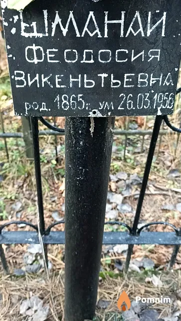 Шманай Феодосия Викентьевна
