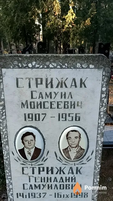 Стрижак Геннадий Самуилович