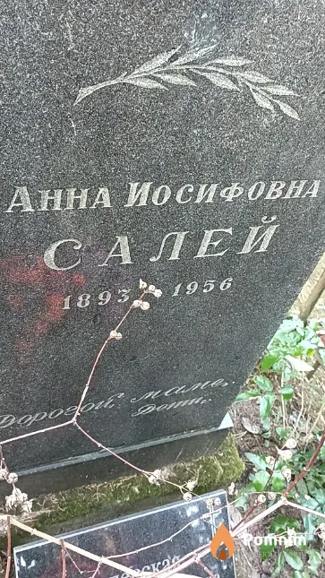 Салей Анна Иосифовна