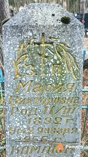 Камлюк Мария Викторовна