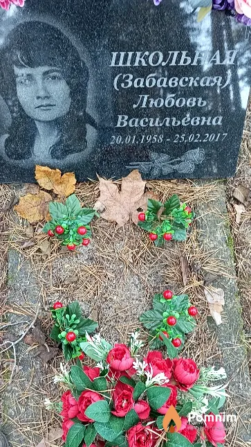 Школьная (Забавская) Любовь Васильевна
