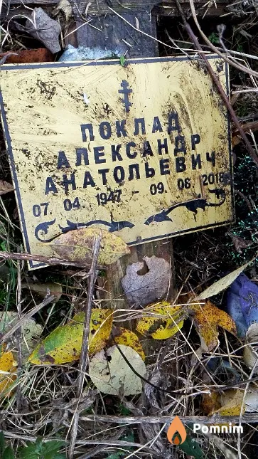 Поклад Александр Анатольевич