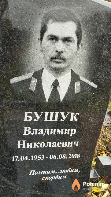 Бушук Владимир Николаевич