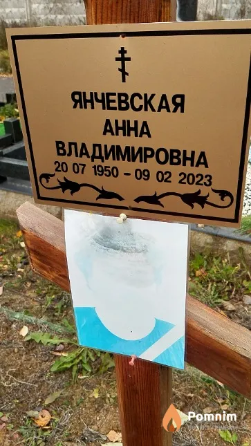 Янчевская Анна Владимировна
