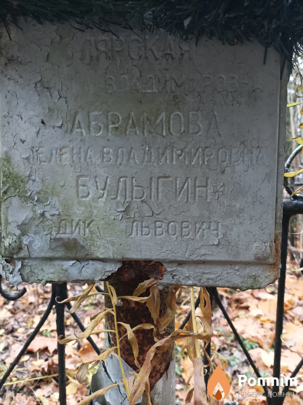 Абрамова Елена Владимировна
