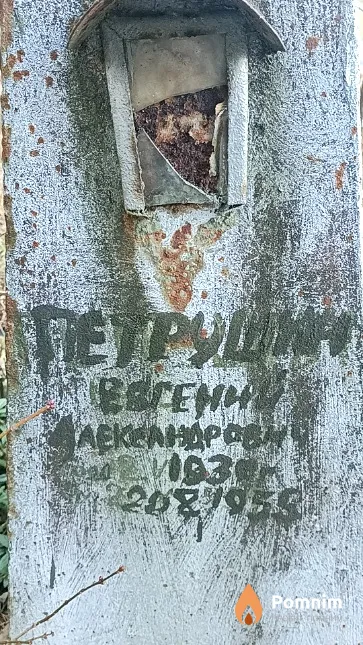 Петрушин Евгений Александрович
