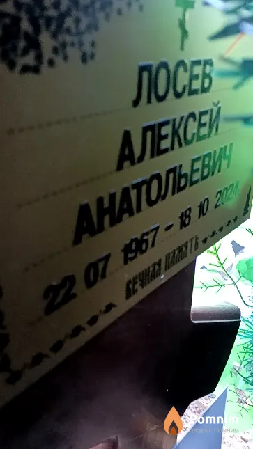 Лосев Алексей Анатольевич