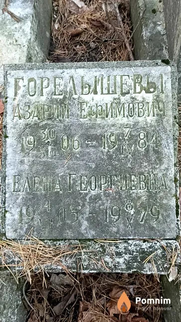 Горелышева Елена Георгиевна