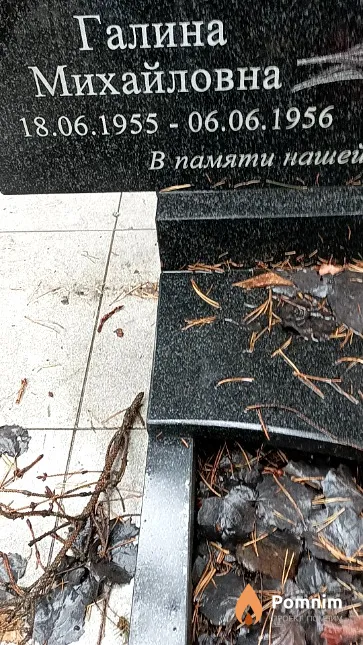 Колесникова Галина Михайловна
