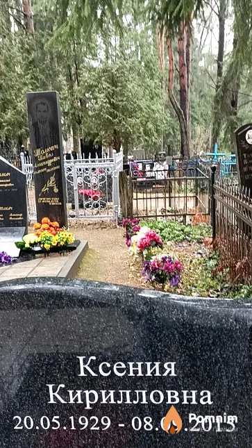 Колесникова Ксения Кирилловна