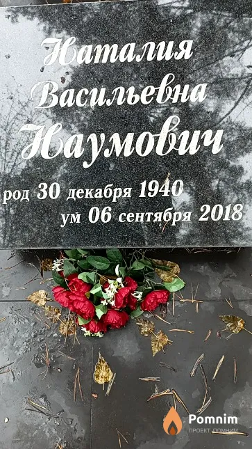 Наумович Наталия Васильевна