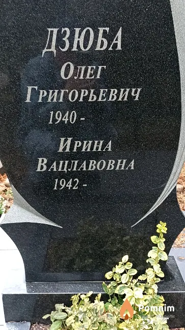 Дзюба Олег Григорьевич