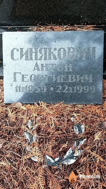 Синякович Антон Георгиевич