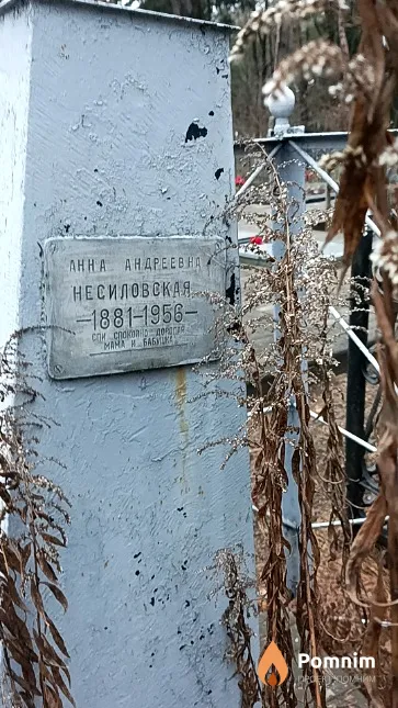 Несиловская Анна Андреевна