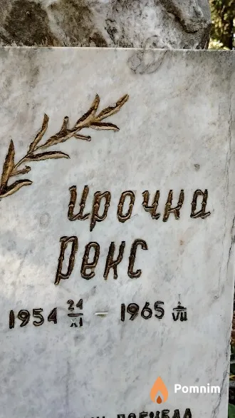 Ирочка Рекс