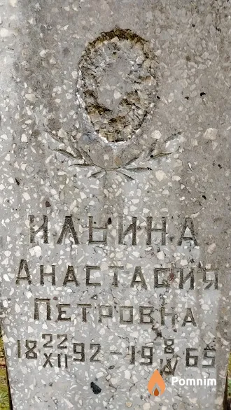 Ильина Анастасия Петровна