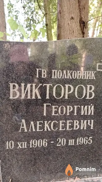 Викторов Георгий Алексеевич