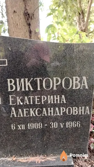 Викторова Екатерина Александровна