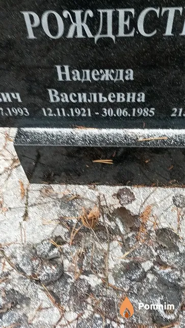 Рождественская Надежда Васильевна