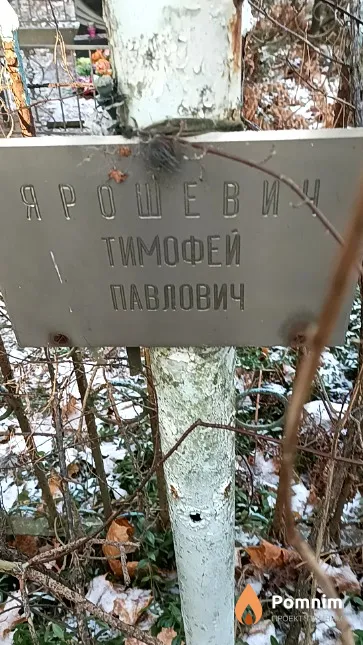Ярошевич Тимофей Павлович