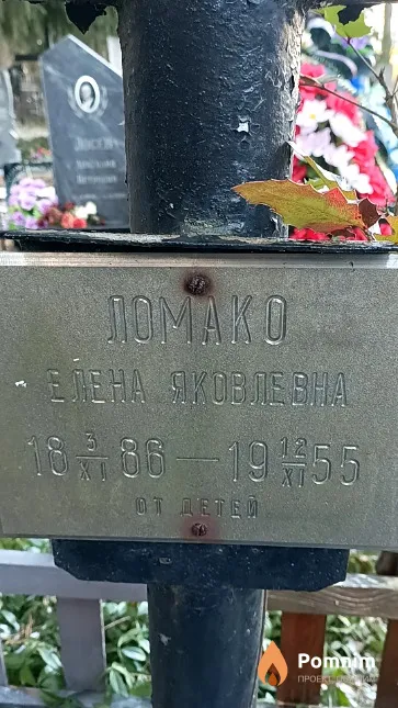 Ломако Елена Яковлевна