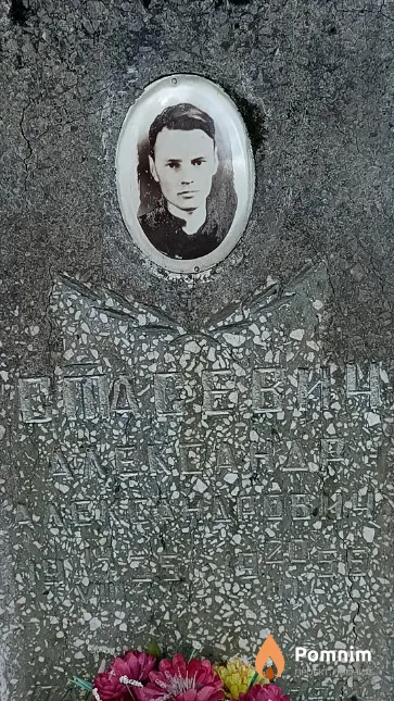 Стасевич Александр Александрович