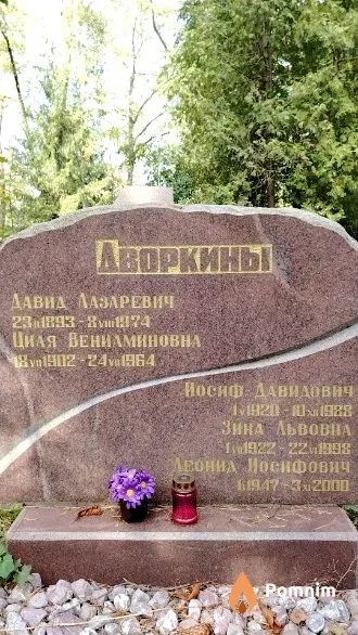 Дворкин Давид Лазаревич