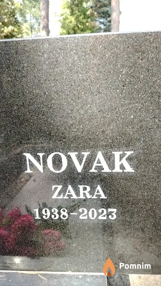 Novak Zara