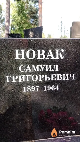 Новак Самуил Григорьевич