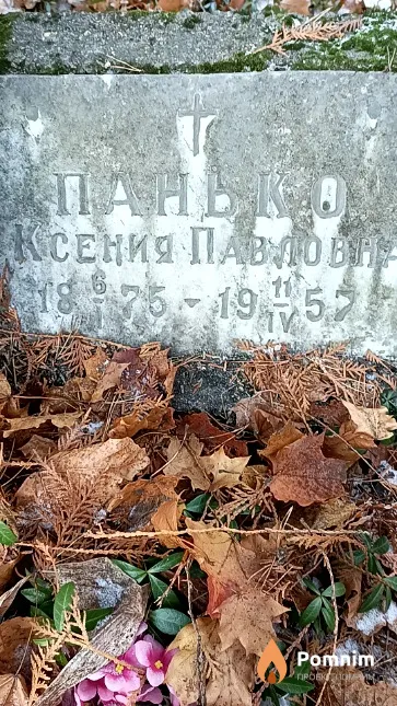 Панько Ксения Павловна