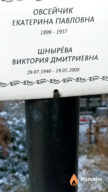 Шнырёва Виктория Дмитриевна