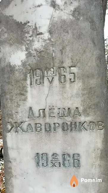 Жаворонков Алексей