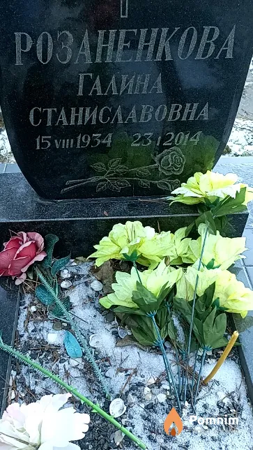 Розаненкова Галина Станиславовна