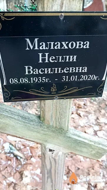 Малахова Нелли Васильевна