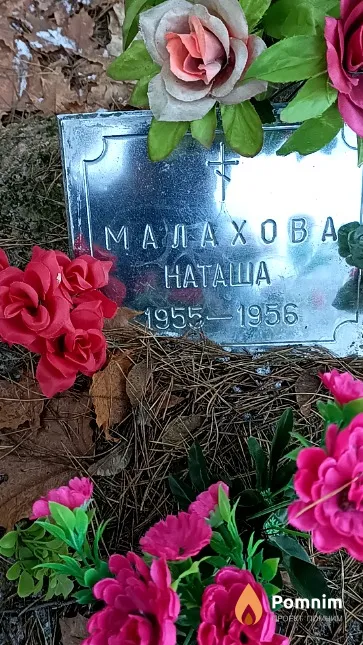 Малахова Наталья