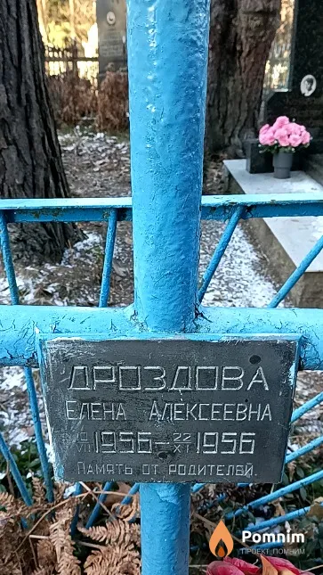 Дроздова Елена Алексеевна