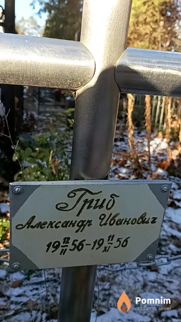 Гриб Александр Иванович