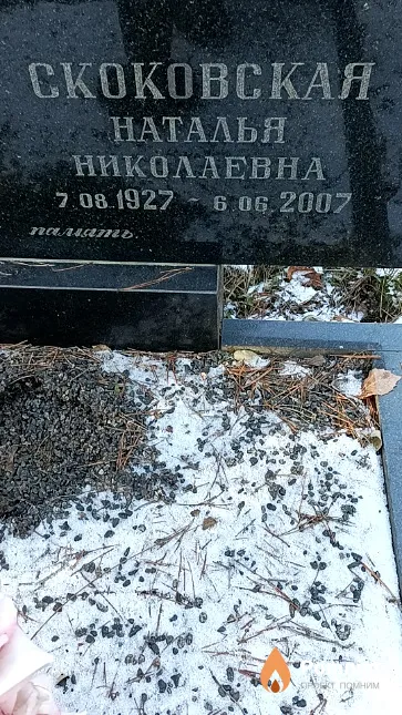 Скоковская Наталья Николаевна