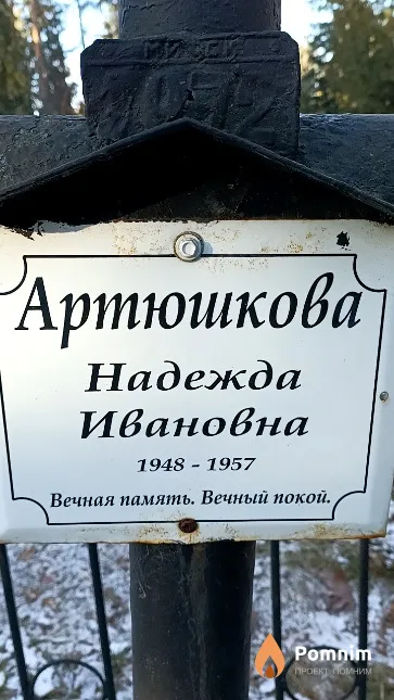 Артюшкова Надежда Ивановна
