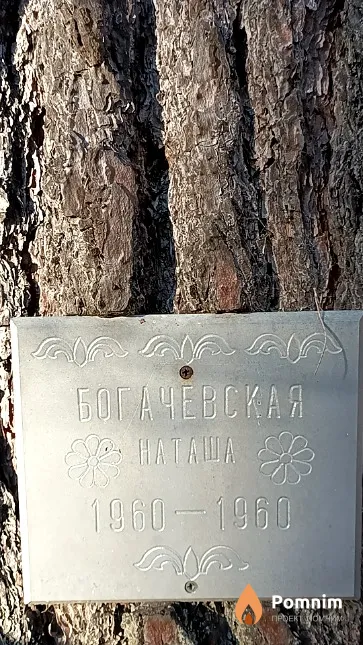 Богачевская Наталья
