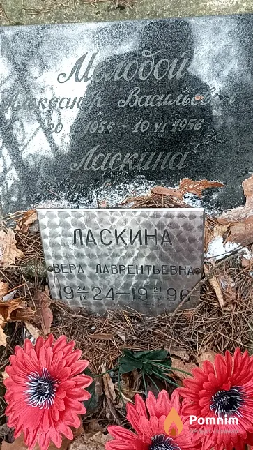 Ласкина Александр Васильевич