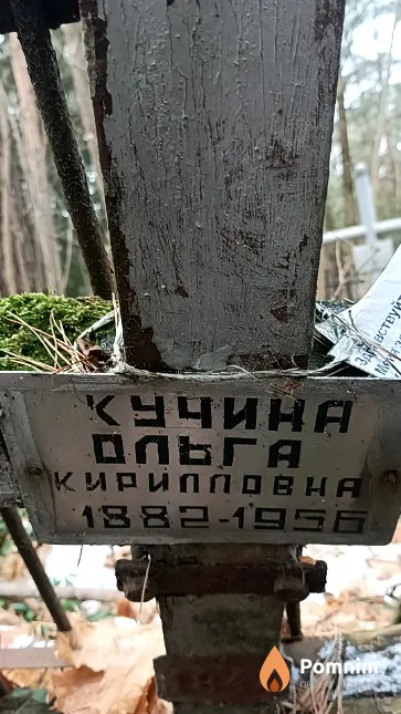 Кучина Ольга Кирилловна