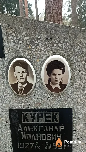 Курек Александр Иванович